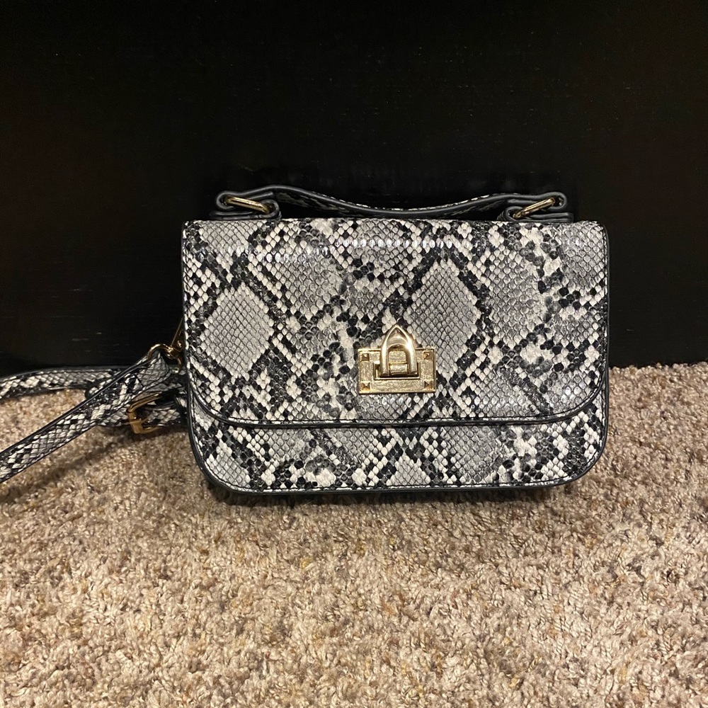 Snake Skin Purse